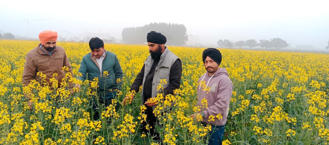 Village visit by Chief Agriculture Officer